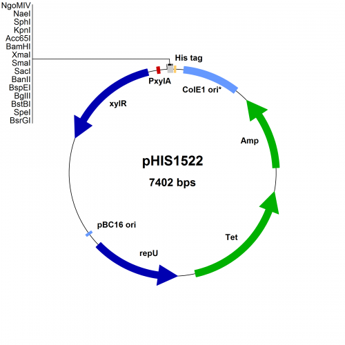 BMEG12 Vector Map